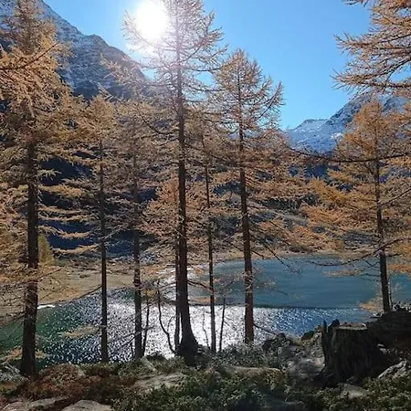 아파트 Tranquillo In Borgo Alpino *